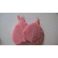 100 Peepul Skelett Blätter Rustikale Hochzeit & Blumendekor 100 Peepul Skelett Blätter Rustikale Hochzeit & Blumendekor von RusticHouse11