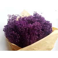 Getrocknete Lila Blüten-Besen-Bund Gefärbt - Hauptdekoration Rustikale Blumensträuße Kränze von RusticHouse11