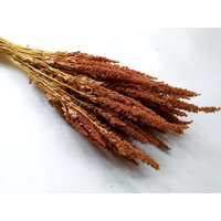 Getrocknete Natürliche Herbstfarbe Amaranthus Bunch - Hochzeitsdekoration Rustikale Blumensträuße Kränze von RusticHouse11