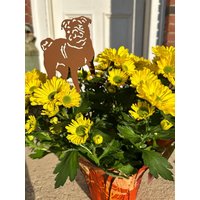 Handgefertigter Mops Gartenstecker Gartenstecker Aus Stahl Handgefertigter Mops Gartenstecker Gartenstecker Aus Stahl von RusticaOrnamentals