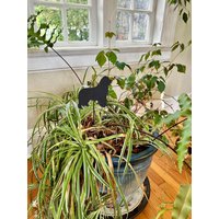 Neufundländer Pflanzenstecker Rustikaler Gartenstecker Neufundländer Pflanzenstecker Rustikaler Gartenstecker von RusticaOrnamentals