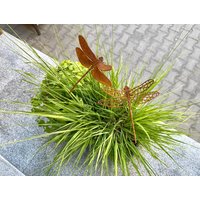 Libellen-Skulptur Aus Gerostetem Metall Gartenstecker Oder Wandskulptur von RustySparrowDesign