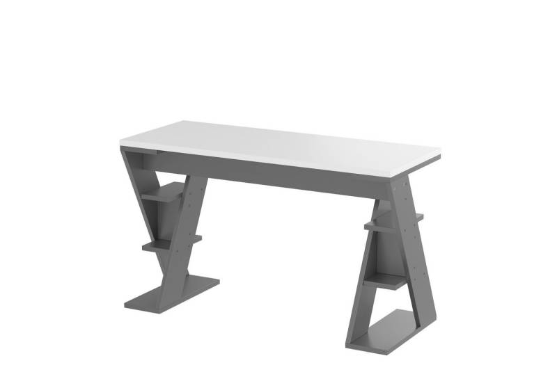 Rutaqian Schreibtisch 120x50x74cm einfacher Schreibtisch mit X-förmiger Halterung, Lagerregal mit sechs Positionen,Grau + Weiß von Rutaqian