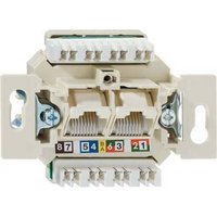 Rutenbeck Netzwerkdose Unterputz Einsatz CAT 6 Rutenbeck Netzwerkdose Unterputz Einsatz CAT 6 von Rutenbeck