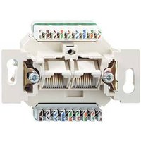 Rutenbeck Netzwerkdose Unterputz Einsatz CAT 6a Rutenbeck Netzwerkdose Unterputz Einsatz CAT 6a von Rutenbeck