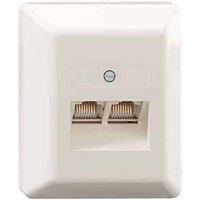 Rutenbeck UAE8/8(8/8)LSA Aprw Netzwerkdose Schraubbefestigung Reinweiß von Rutenbeck