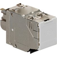 Rutenbeck Universalmodul Cat.8.1 Class I geschirmt UM-Cat.8.1/Class Rutenbeck Universalmodul Cat.8.1 Class I geschirmt UM-Cat.8.1/Class von Rutenbeck