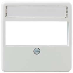 Rutenbeck 13910002 - Mittelplatte mit 3 Ausgängen, RS45, Fenstergelenk, Weiß, elfenbeinfarben Rutenbeck 13910002 - Mittelplatte mit 3 Ausgängen, RS45, Fenstergelenk, Weiß, elfenbeinfarben von Rutenbeck