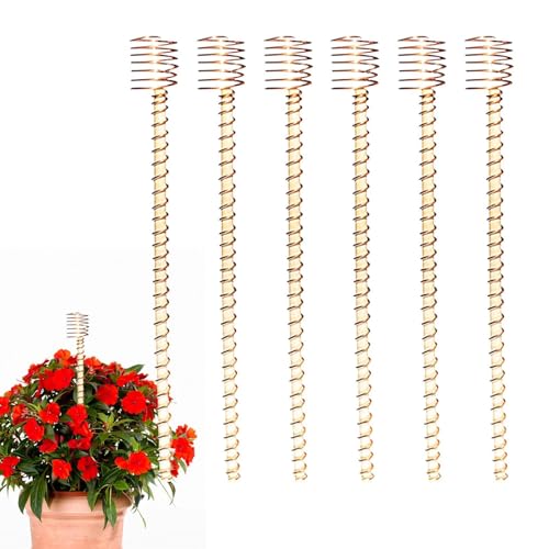 Ruwshuuk Elektrokultur Kupfer Antenne Für Gartenpflanzen - 6 Stück Kupferspulen-Antennen Aus Draht,Elektronische 30 cm Gartenstäbe für Pflanzen Gemüse Obst mit Höheren Ernteerträgen im Garten Balkon Ruwshuuk Elektrokultur Kupfer Antenne Für Gartenpflanzen - 6 Stück Kupferspulen-Antennen Aus Draht,Elektronische 30 cm Gartenstäbe für Pflanzen Gemüse Obst mit Höheren Ernteerträgen im Garten Balkon von Ruwshuuk