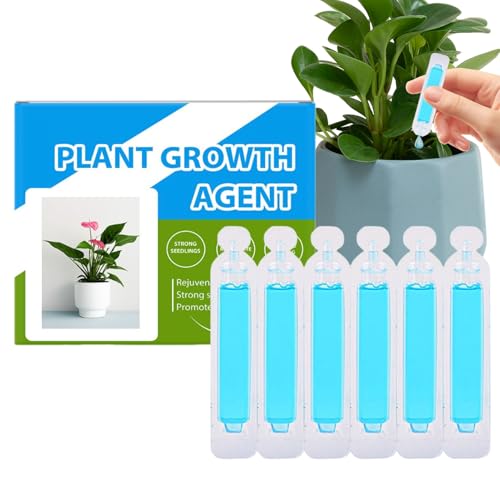 Ruwshuuk Pflanzennährstoffe | Pflanzennahrung Für Innenraumpflanzen | 6er Set Universaldünger Natürlicher Gartenbedarf für Blumen Zimmerpflanzen Wachstum Ruwshuuk Pflanzennährstoffe | Pflanzennahrung Für Innenraumpflanzen | 6er Set Universaldünger Natürlicher Gartenbedarf für Blumen Zimmerpflanzen Wachstum von Ruwshuuk