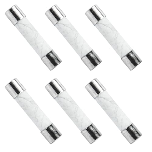 Ersatz-Sicherungen für Generac ersetzt 1000005117 6,3 A 250 V AC 5 mm x 20 mm 6,3 A (6er-Pack) von Rvanv