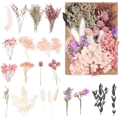 Trockenblumen, Getrocknete Blumen, Natürliche Trockenblumen Zum Basteln, Trockenblumen Deko für Scrapbooking, DIY-Kerzenharz, Handwerk Trockenblumen, Getrocknete Blumen, Natürliche Trockenblumen Zum Basteln, Trockenblumen Deko für Scrapbooking, DIY-Kerzenharz, Handwerk von RxaGtn