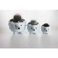 Igel Keramik Indoor Blumentopf | Blau Grau Kaktus Schale Kleiner Sukkulenten-Sämling-Übertopf Aus Einweihungsgeschenk von RyabaVoshCeramics