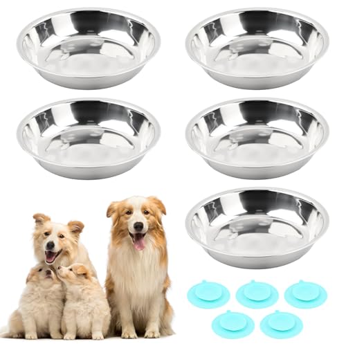 5 Edelstahl Katzennapf Futternapf Katze mit 5 Rutschfesten Gummiböden, 16 cm Durchmesser Futternapf Katze, Futterschale Napf Katzes Fressnapf Hundenapf, für Katzen Kleine Hunde 5 Edelstahl Katzennapf Futternapf Katze mit 5 Rutschfesten Gummiböden, 16 cm Durchmesser Futternapf Katze, Futterschale Napf Katzes Fressnapf Hundenapf, für Katzen Kleine Hunde von Rylae