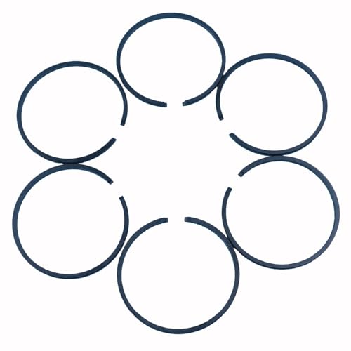 Rynplex 46 mm Kolbenring, for 029 MS290 BR420 400 380 320 SR420 HOMELITE SUPER XL OLEO-MAC 251 350 446 746 950 EFCO 150 151 156 Kettensägen-Kolbenring(6 PCS) von Rynplex