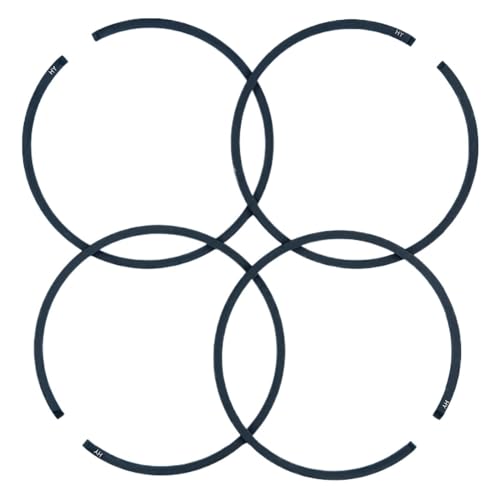 Rynplex 48 mm x 1,5 Kolbenringsatz, for Husqvarna 365 61 261 262 265RX 266 Kettensägen-Ersatzteile 503 28 90–15 Kettensägen-Kolbenring von Rynplex