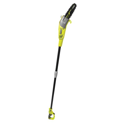 Ryobi 5133002228 Elektro-Hoch-Entaster, 750W RPP750S, 750 W, Grün, Grau, Schwarz von Ryobi