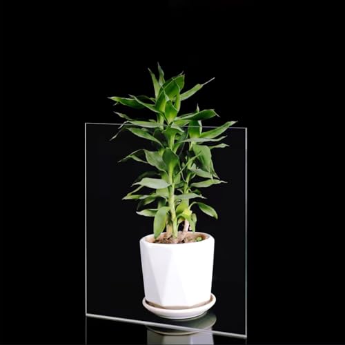 Rytgdxss Acrylplatte Transparent Transparente Polycarbonat Hohe Und Stabile Lichtdurchlässigkeit Hohe Schlagfestigkeit Geeignet Für Gewächshäuser Im Innenhof.1 * 21m Rytgdxss Acrylplatte Transparent Transparente Polycarbonat Hohe Und Stabile Lichtdurchlässigkeit Hohe Schlagfestigkeit Geeignet Für Gewächshäuser Im Innenhof.1 * 21m von Rytgdxss