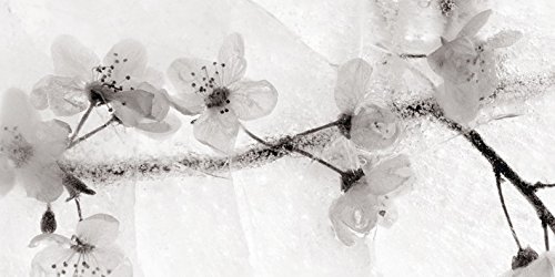 Ryuijie Douglas "Ice Form 22", 30 x 60 cm, Leinwanddruck von Ryuijie Douglas