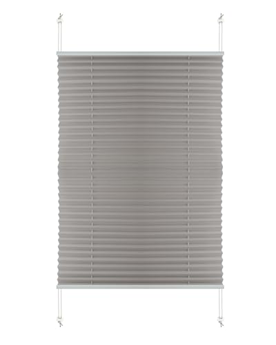 S SIENOC Hellgrau Plisse-Rollo Jalousie Plisseerollo Easyfix ohne Bohren verspannt Faltstore Rollo Klemmfix Sonnenschutzrollo Seitenzugrollo Faltrollo für Fenster Tür 75x130cm S SIENOC Hellgrau Plisse-Rollo Jalousie Plisseerollo Easyfix ohne Bohren verspannt Faltstore Rollo Klemmfix Sonnenschutzrollo Seitenzugrollo Faltrollo für Fenster Tür 75x130cm von S SIENOC
