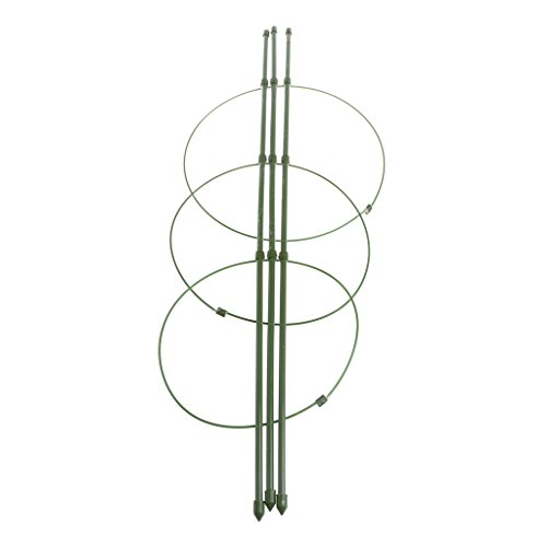 S-TROUBLE 5Pcs Plastic Plant Fix Clips Rack Stem Klettern Vine Support Gemüse Farm Blumen Obst gebunden Bundle Branch Clamping Gartengeräte von S-TROUBLE