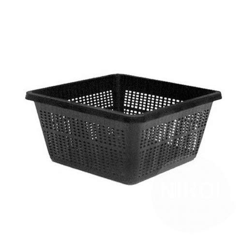 vdvelde.com - Pflanzkorb Quadrat 19cm - 5 Stück - Hochwertig Quadratisch Pflanzkörbe für Teich - Pflanzkorb fur Seerosen und Teichpflanzen - Pflanzenkorb Höhe 10cm - Van der Velde Wasserpflanzen vdvelde.com - Pflanzkorb Quadrat 19cm - 5 Stück - Hochwertig Quadratisch Pflanzkörbe für Teich - Pflanzkorb fur Seerosen und Teichpflanzen - Pflanzenkorb Höhe 10cm - Van der Velde Wasserpflanzen von S VD VELDE WATERPLANTEN