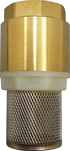 S & M 550553 – Rückschlagventil entfernen/mit Filter – Edelstahl 3/4 " von S&M