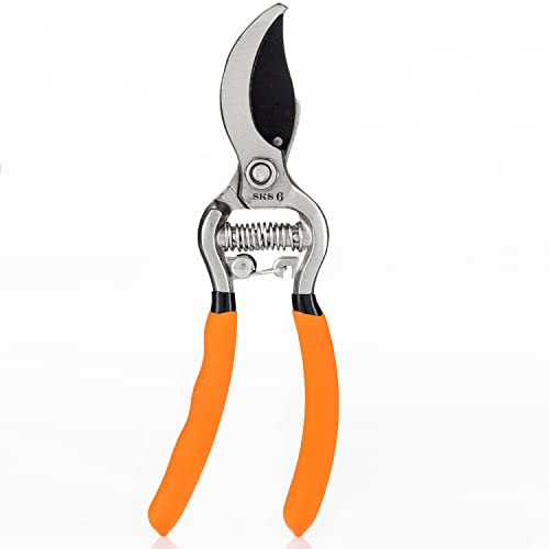 SKS 6 Tradition Jagd- & Zerwirkschere Orange von S. Kunde & Sohn Germany
