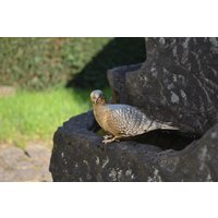 Dove , Memorial Decoration Dove , Memorial Decoration von S3DLempertz