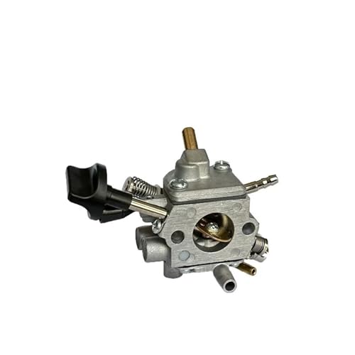 SAANICH Kompatibel for Stihl BR800 Carburetor42831200601 BR800X BR800 Vergaser von SAANICH