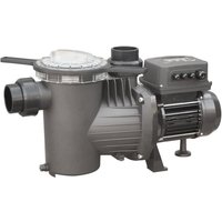 Pumpe Smart Winner 50 m + umfassendes Poolsteuerungssystem von Saci Pumps von SACI