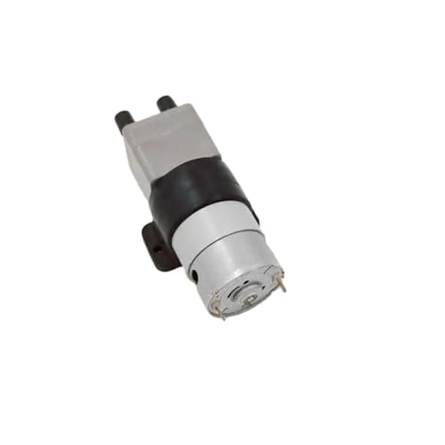 2 m Förderhöhe, 1 m selbstansaugende Höhe, 12 V, geräuscharme Wasserpumpe(12V) von SAEVVCJWW