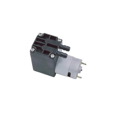 900 ml/min Elektrische DC-Membranbürsten-Mini-Sprühpumpe 12 V, 24 V(24V) von SAEVVCJWW