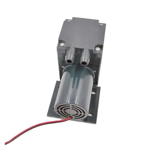DC-Bürsten-selbstansaugende 2L/M 12V, 24V Mini-Wasserpumpe(24V) von SAEVVCJWW
