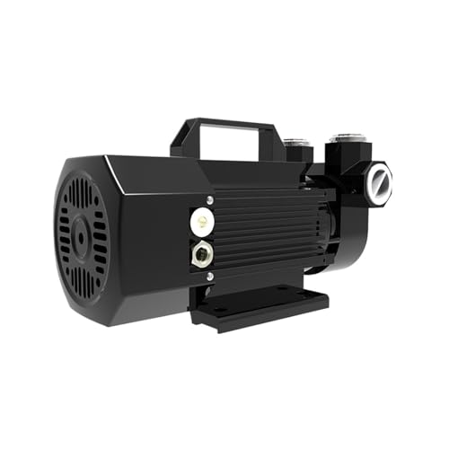 Schwarze 12V/24V Benzinpumpe mit explosionsgeschütztem System Kraftstoffpumpe selbstansaugende elektrische Dieselpumpe 600W 60l/min(24V) von SAEVVCJWW