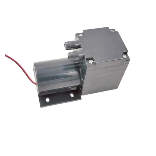 Selbstansaugende elektrische Membran-Wasserpumpe 12 V, 24 V DC(12V) von SAEVVCJWW
