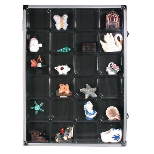 Sammelvitrine mit 24 Fächern: Format ca. 395 x 300 x 45 mm von SAFE