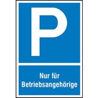 SafetyMarking 11.5115 Parkplatzschild Parkplatz Aluminium (B x H) 400mm x 600mm 1St. von SAFETYMARKING