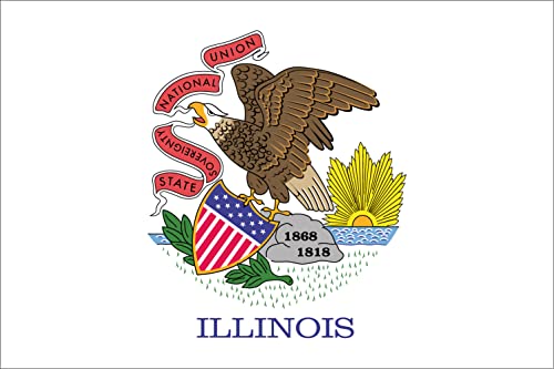 Illinois Kühlschrankmagnet, USA, 2 x magnetisch, 5 x 3,5 cm, 2 Stück von SAFIRMES
