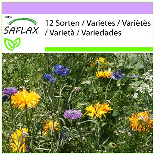 SAFLAX - Wildblumen: Essbare Blüten - 1000 Samen - 12 Wildflower Mix von Saflax