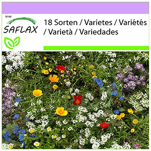 SAFLAX - Wildblumen: Kleine Gartenzwerge - 1000 Samen - 18 Wildflower Mix von Saflax