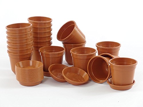 SAFLAX - 20 Geli Kunststofftöpfe 8 cm + Untersetzer Terracotta von SAFLAX - Zubehör