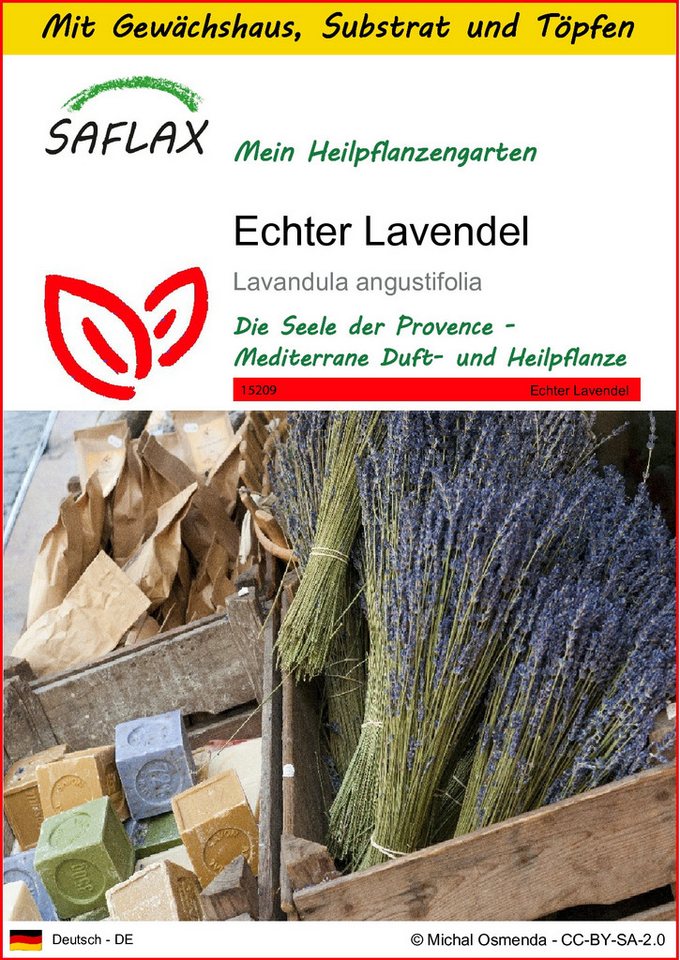 SAFLAX Blumensamen SAFLAX - Anzuchtset - Echter Lavendel von SAFLAX