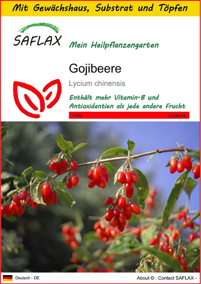 SAFLAX Blumensamen SAFLAX - Anzuchtset - Gojibeere von SAFLAX