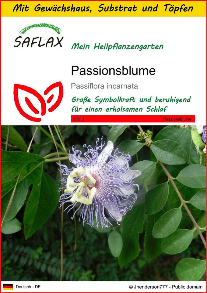 SAFLAX Blumensamen SAFLAX - Anzuchtset - Passionsblume von SAFLAX