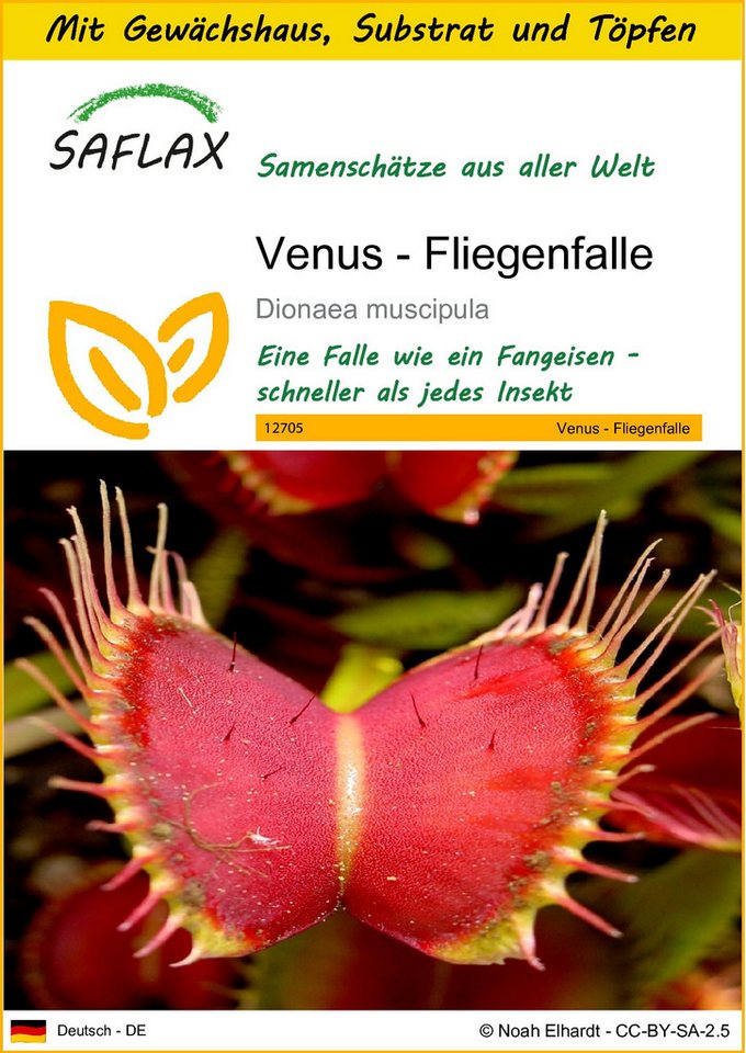 SAFLAX Blumensamen SAFLAX - Anzuchtset - Venus - Fliegenfalle von SAFLAX