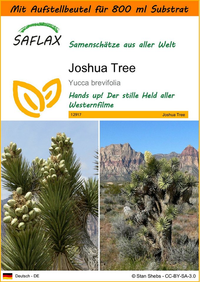 SAFLAX Blumensamen SAFLAX - Garden in the bag - Joshua Tree von SAFLAX