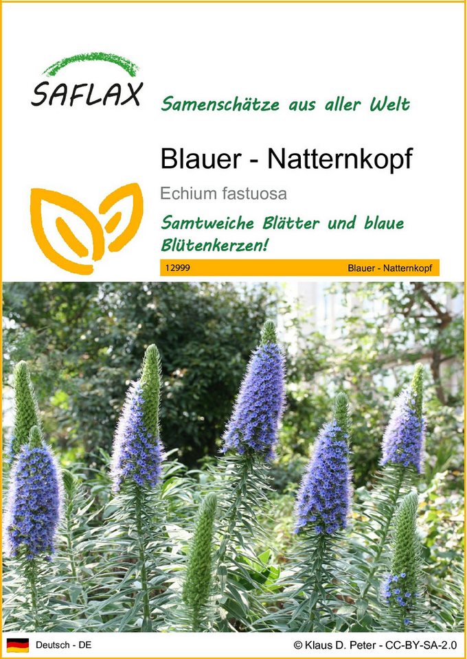 SAFLAX Blumensamen SAFLAX - Samen - Blauer - Natternkopf von SAFLAX