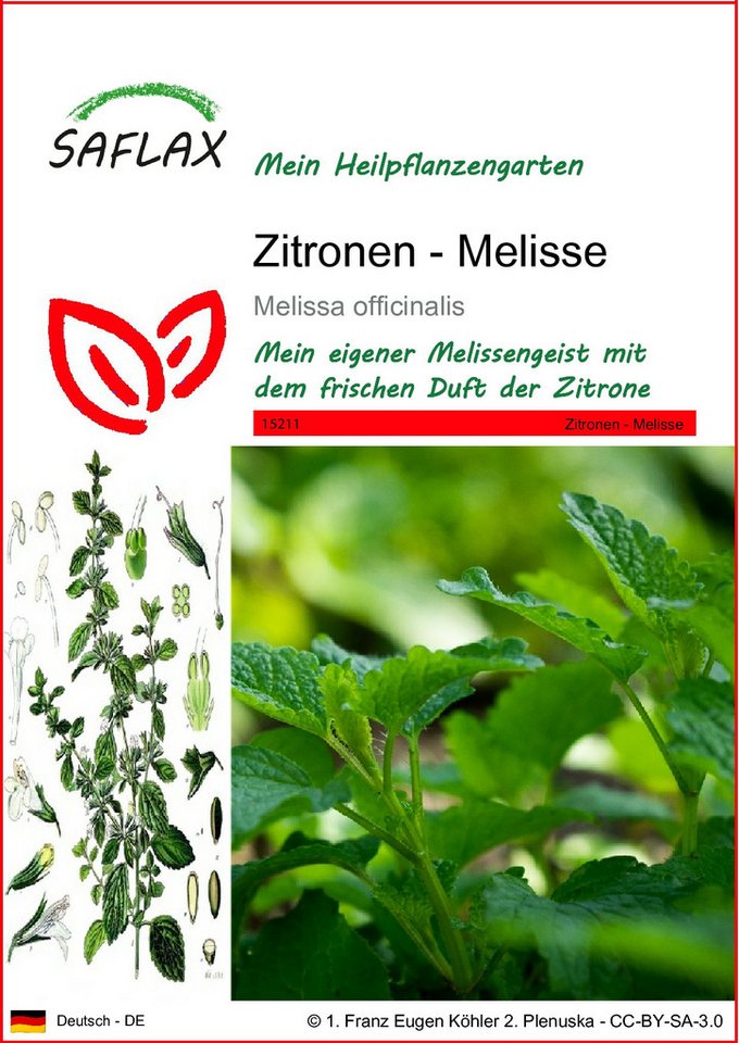 SAFLAX Blumensamen SAFLAX - Samen - Zitronen - Melisse von SAFLAX