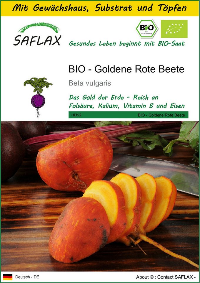 SAFLAX Gemüsesamen SAFLAX - Anzuchtset - BIO - Goldene Rote Beete SAFLAX Gemüsesamen SAFLAX - Anzuchtset - BIO - Goldene Rote Beete von SAFLAX
